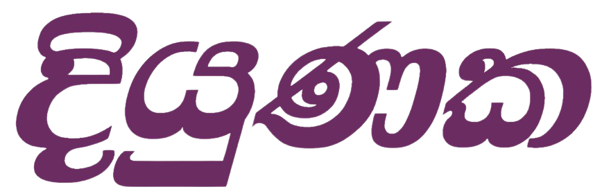 Diyunaka Holdings Ltd main logo without sologan.png